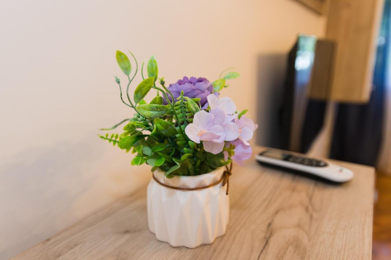 Apartman Studio Blue Subotica Eksteriør bilde